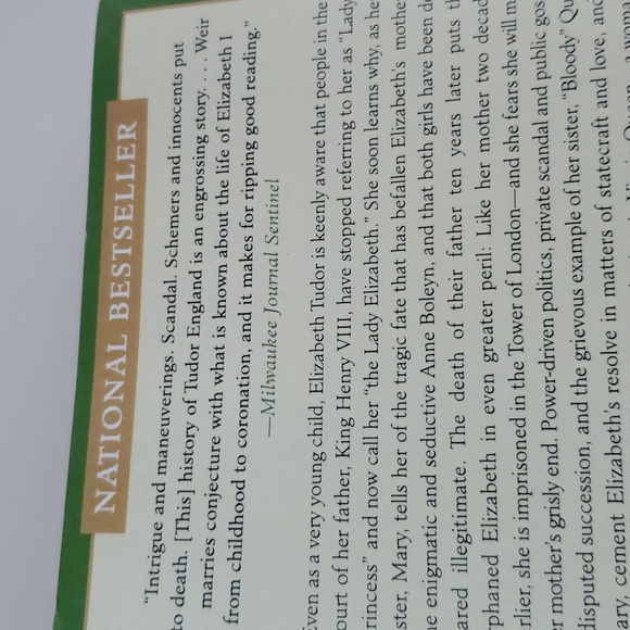 The Lady Elizabeth a novel exploring Elizabeth Tudor "lady princess" King Henry - Picture 3 of 4